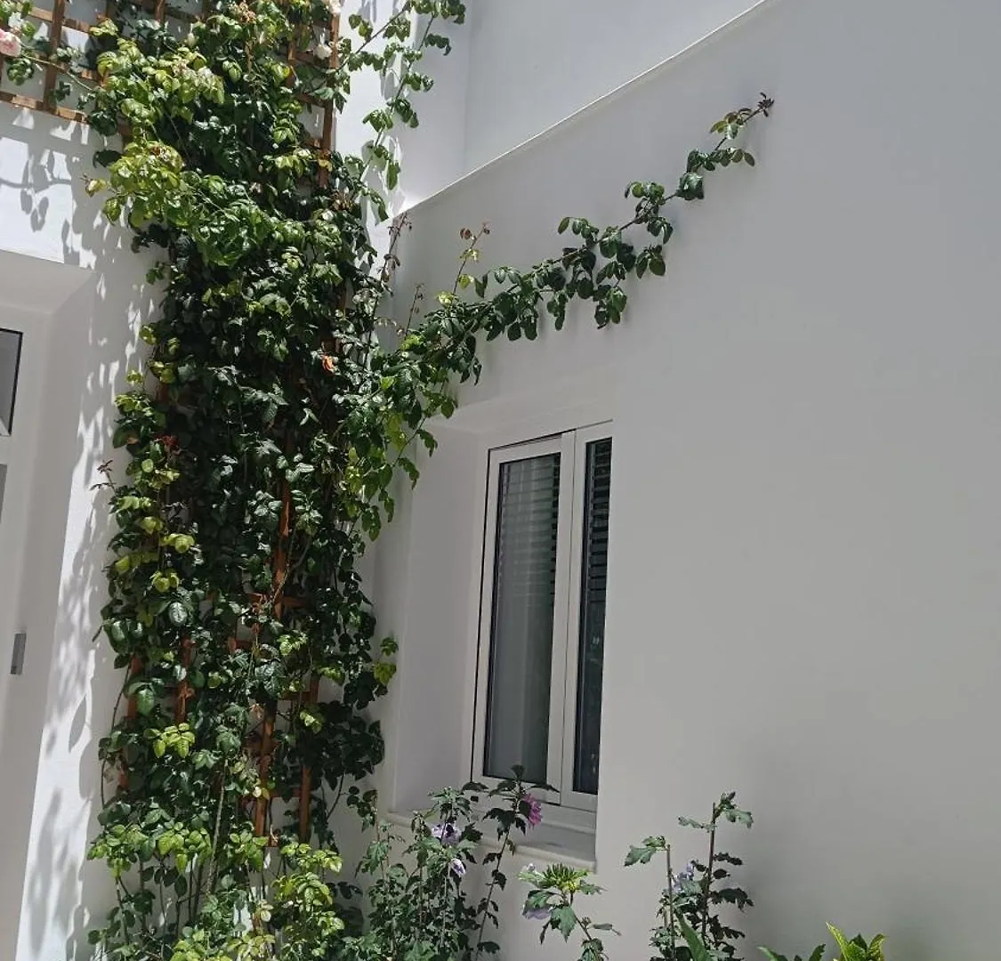 El Tapial Apartment Chipiona Homestay